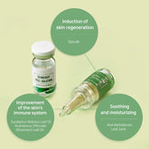 STAYVE SEANERGY PEEL AMPOULE 5X1.3g+5X8ml